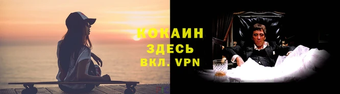 марки nbome Богданович