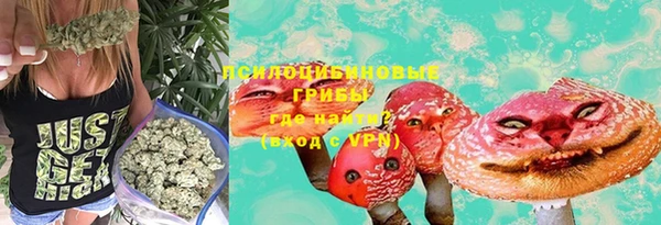 марки nbome Богданович