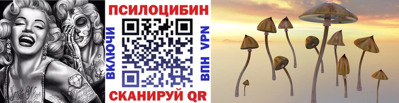 Псилоцибиновые грибы Cubensis  Санкт-Петербург 