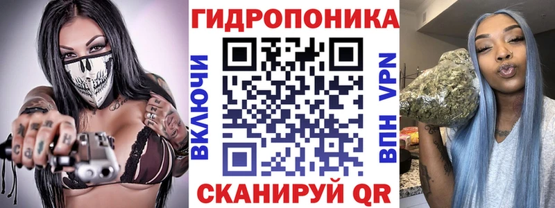 где продают   Санкт-Петербург  Шишки марихуана индика 